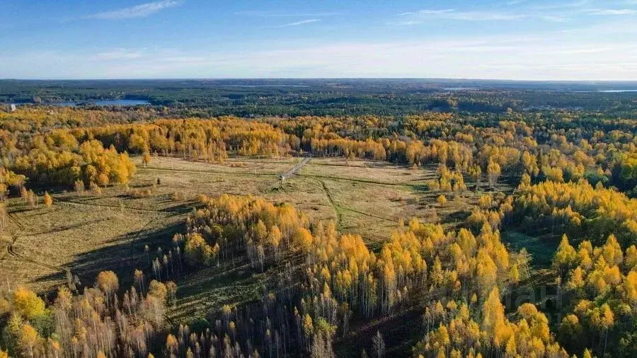 Участок в Ленинградская область, Всеволожский район, Куйвозовское ... - Фото 0