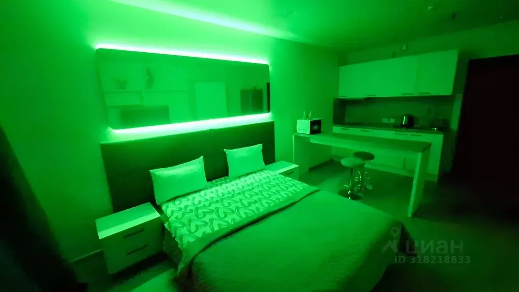 Студия Санкт-Петербург ул. Хошимина, 16А (30.0 м) - Фото 1
