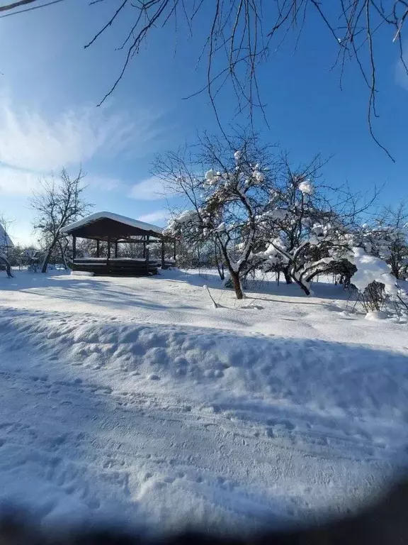 Участок в Ленинградская область, Кировский район, Мгинское городское ... - Фото 1