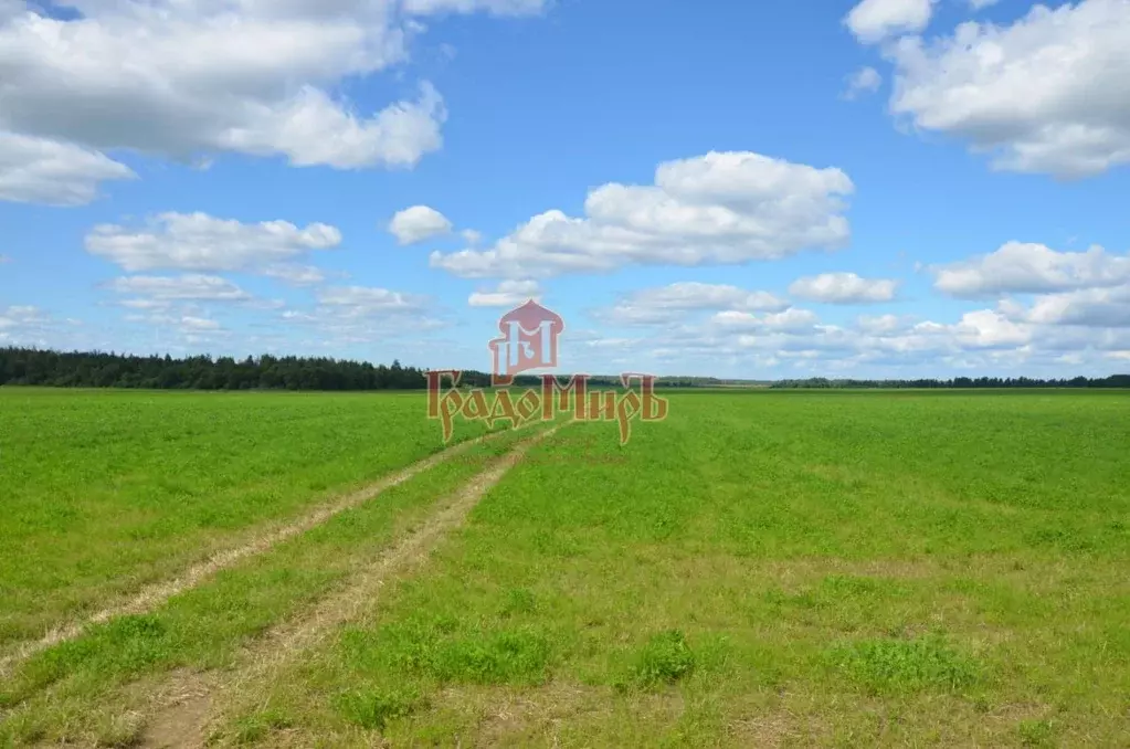 Купить Участок Богородское Сергиево Посадский Район