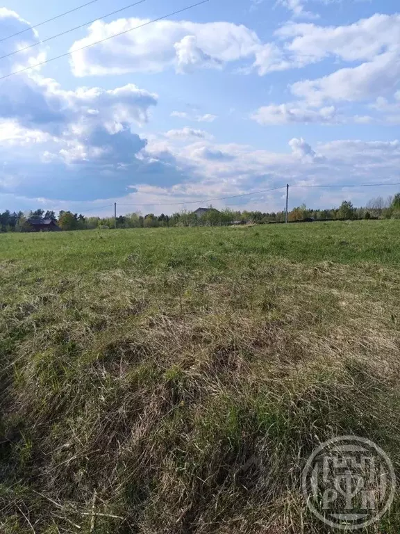 Участок в Ленинградская область, Лужский район, Толмачевское городское ... - Фото 1