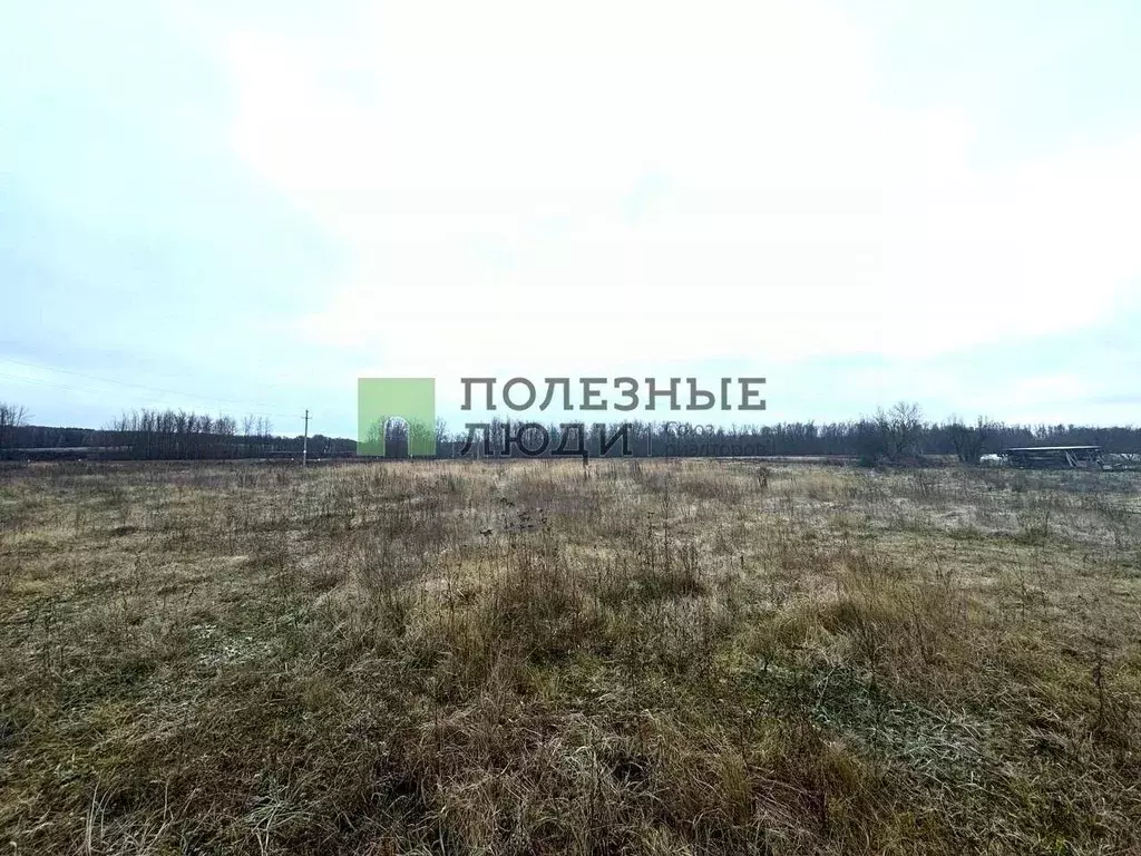 Участок в Орловская область, Орловский муниципальный округ, д. Новая ... - Фото 1