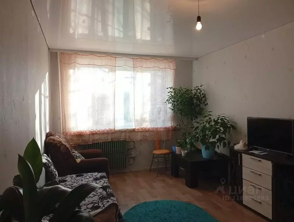 Комната Белгородская область, Алексеевка ул. Тимирязева, 183 (31.0 м) - Фото 0