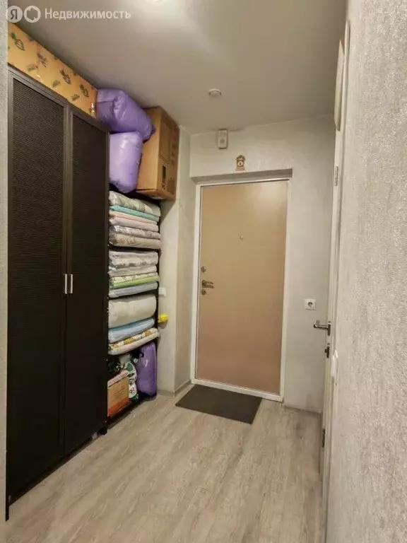 Квартира-студия: Пенза, улица Генерала Глазунова, 21 (29.3 м) - Фото 1