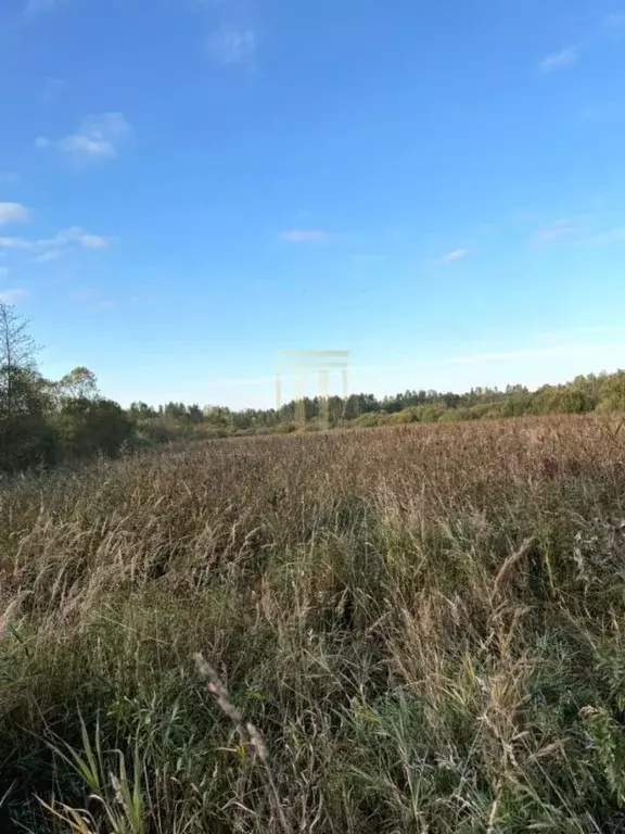 Участок в Псковская область, Себежский район, Идрица рп  (10.0 сот.) - Фото 2