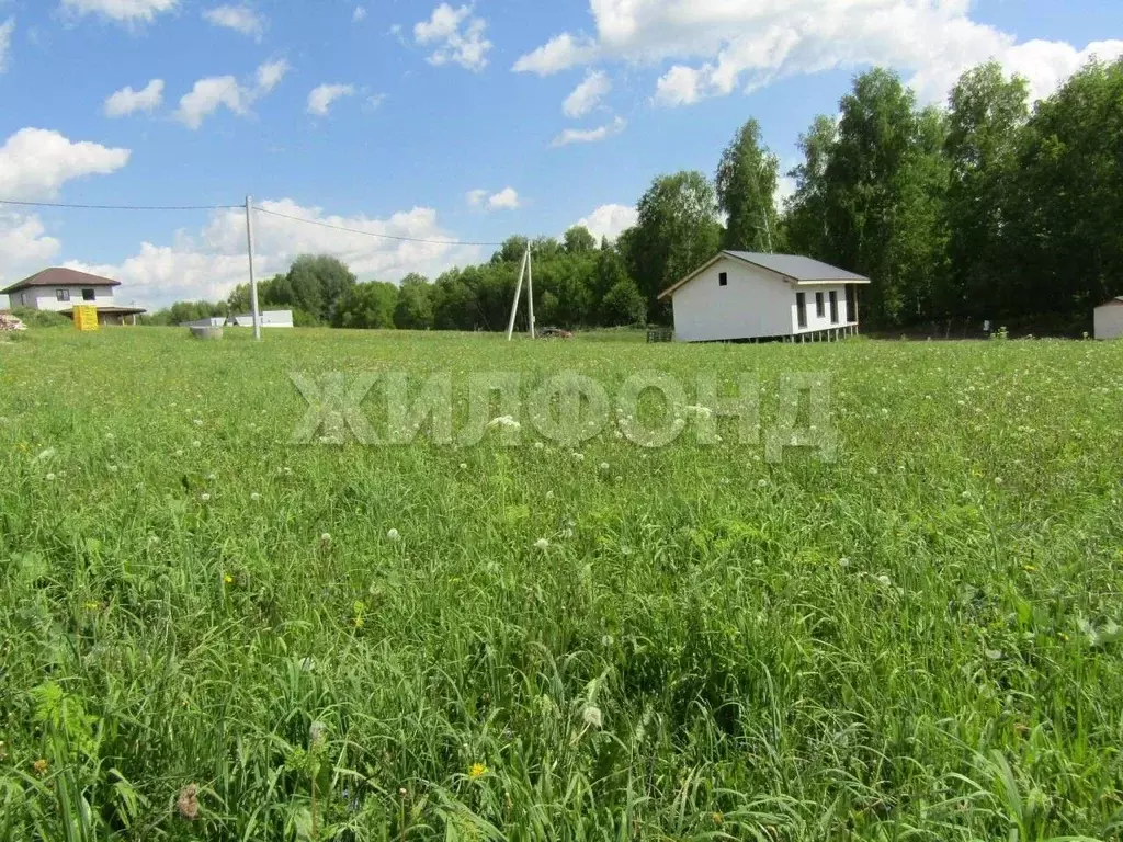 Участок в Новосибирская область, Новосибирский район, Раздольненский ... - Фото 2