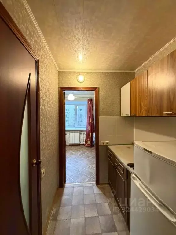 Студия Липецкая область, Липецк ул. Ильича, 12А (12.5 м) - Фото 2