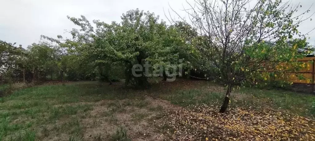 Дом в Адыгея, Майкоп ул. Калинина (36 м) - Фото 2