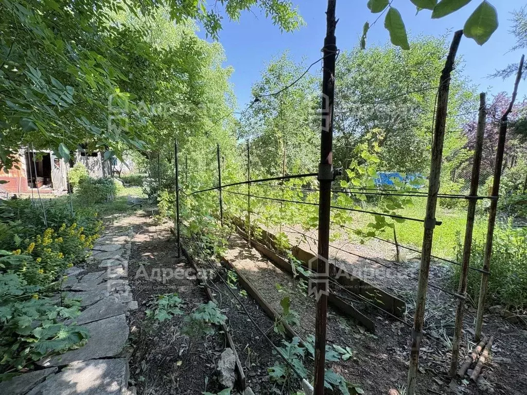 Дом в Волгоградская область, Волгоград Орошенец СНТ, ул. 13-я (51 м) - Фото 1