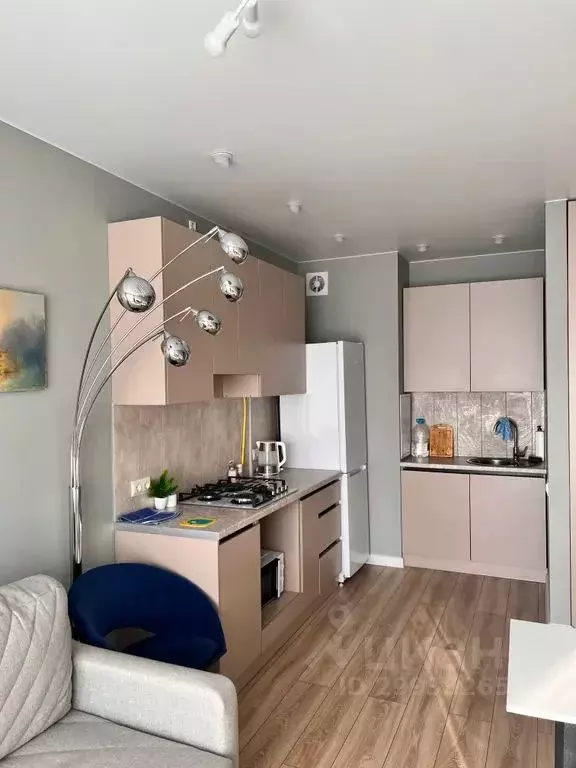 1-к кв. Псковская область, Псковский район, Завеличенская волость, д. ... - Фото 1