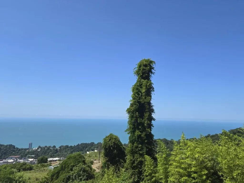 Участок в Краснодарский край, Сочи Орлиное Гнездо кп,  (100.0 сот.) - Фото 2