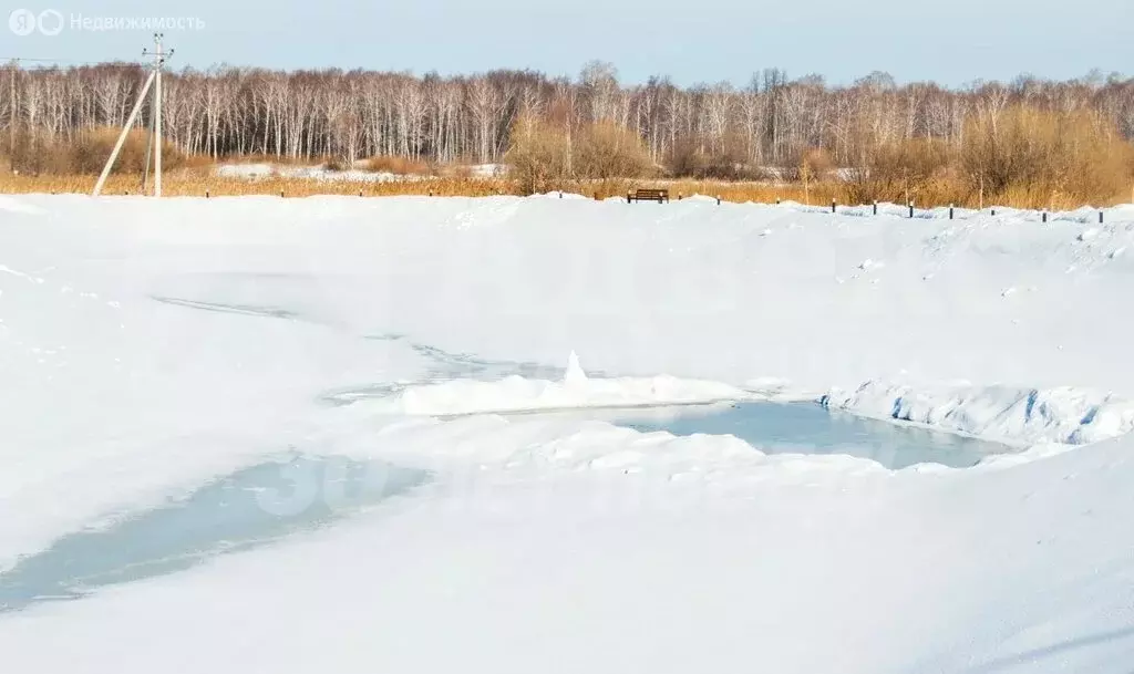 Участок в Тюменская область, Нижнетавдинский муниципальный округ, ... - Фото 1
