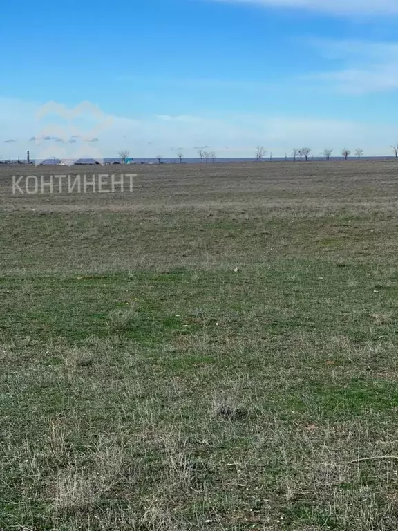 Участок в Крым, Сакский район, с. Веселовка  (445.7 сот.) - Фото 2