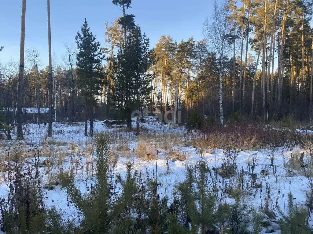 Участок в Свердловская область, Екатеринбург Усадьба-Лес ДНП,  (14.4 ... - Фото 1