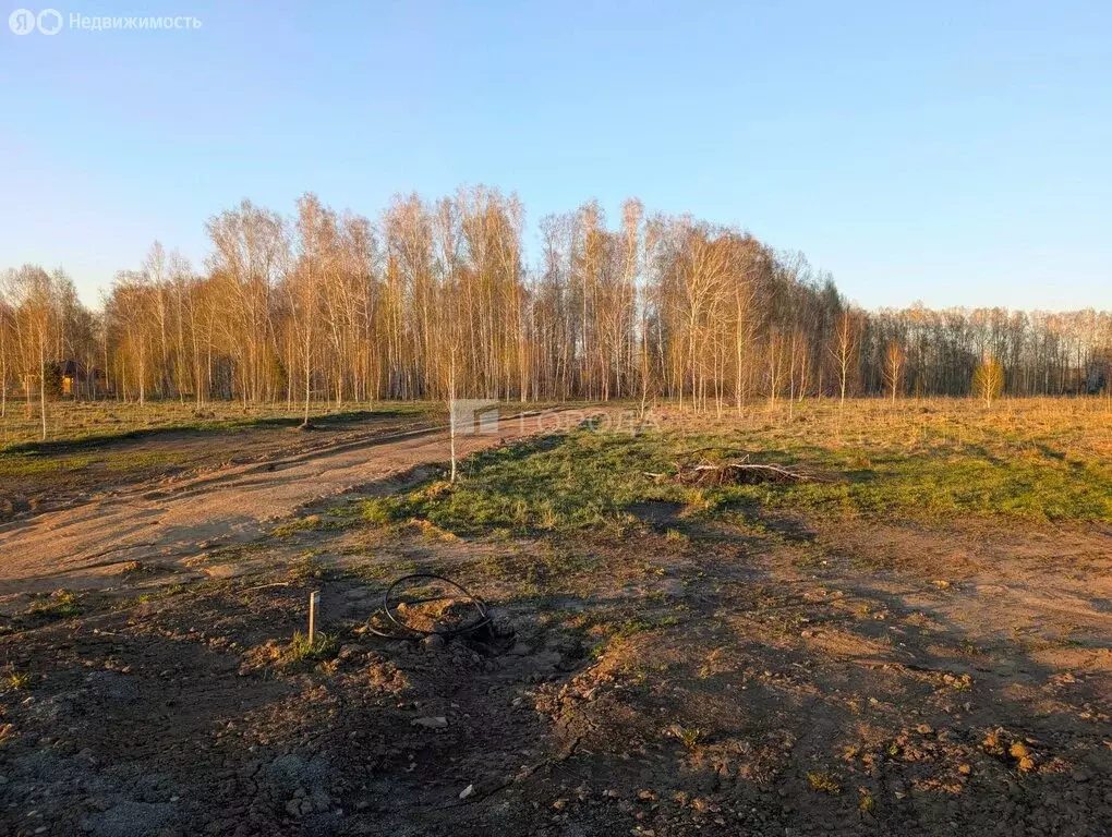 Участок в Мошковский район, коттеджный посёлок Индия (15.9 м) - Фото 1