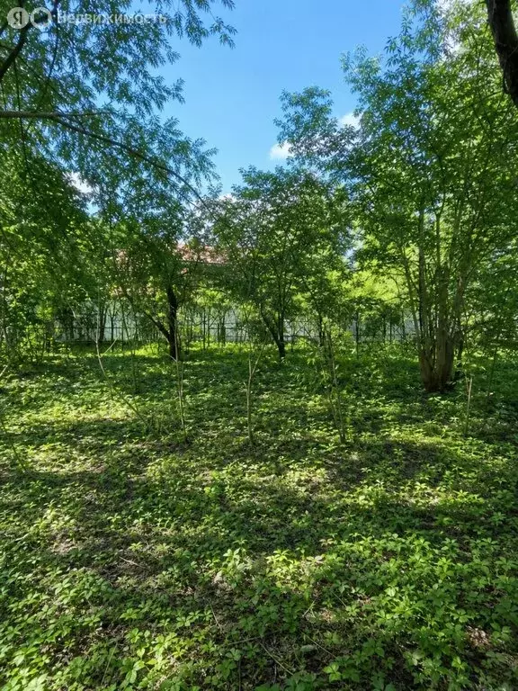 Участок в Химки, микрорайон Фирсановка, улица Серова, 16 (28.8 м) - Фото 1