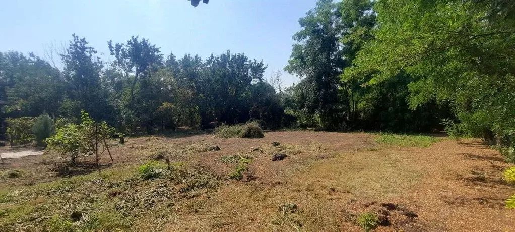 Участок в Краснодарский край, Динской район, Нововеличковское с/пос, ... - Фото 1