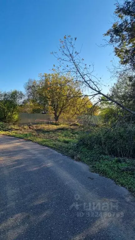 Участок в Москва д. Рождественно, 59А (11.0 сот.) - Фото 1