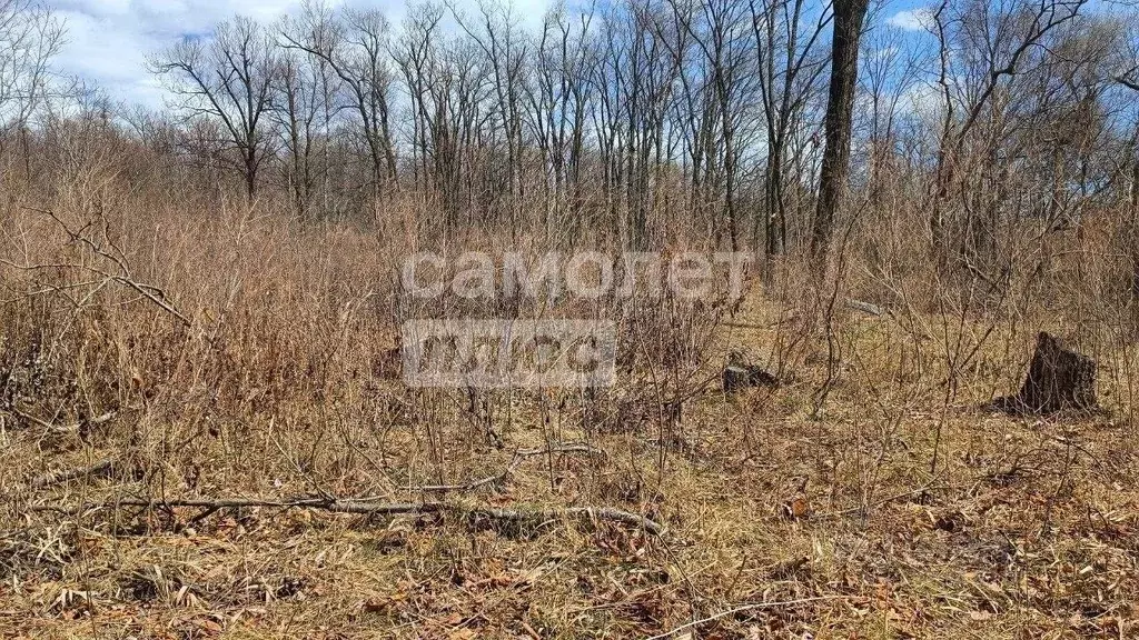 Участок в Приморский край, Артем ул. 1-я Рабочая (10.0 сот.) - Фото 1