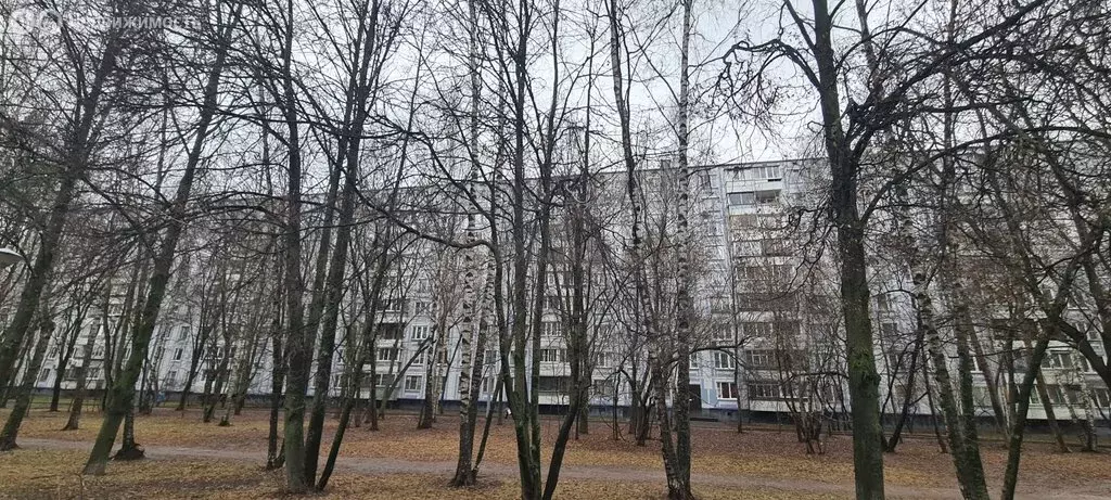 2-комнатная квартира: Москва, Ореховый бульвар, 39к1 (45 м) - Фото 0