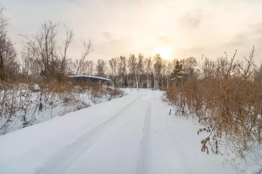 Участок в Тюменская область, Нижнетавдинский муниципальный округ, с. ... - Фото 1