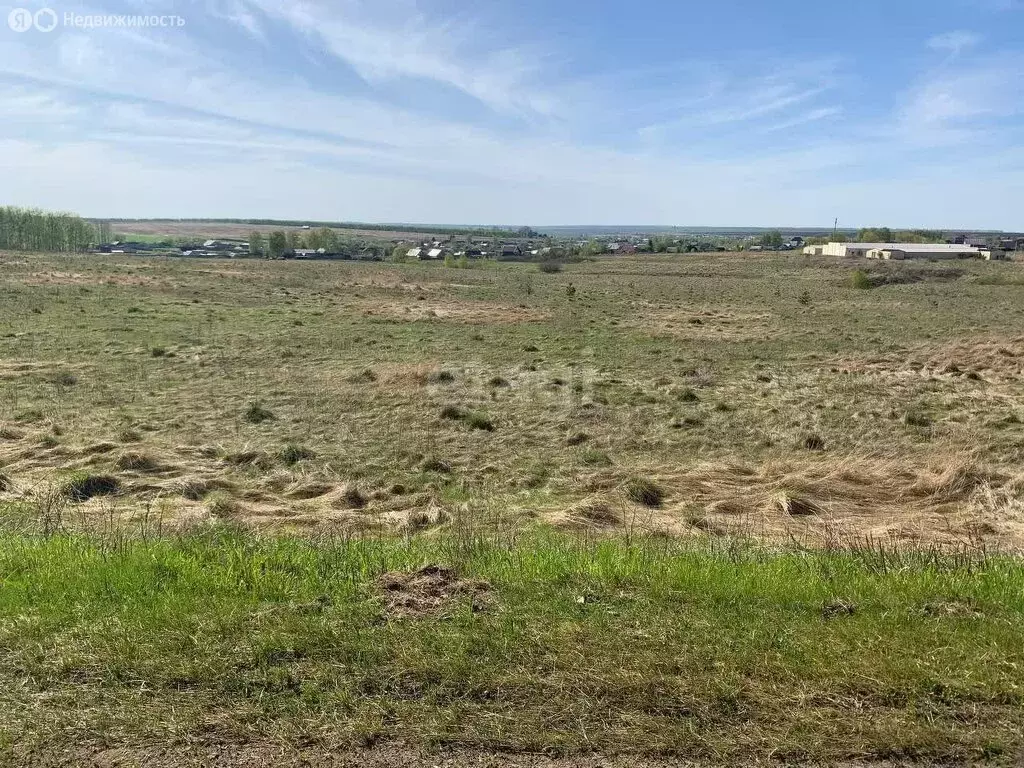 Участок в Республика Мордовия, село Кочкурово (10.1 м) - Фото 1
