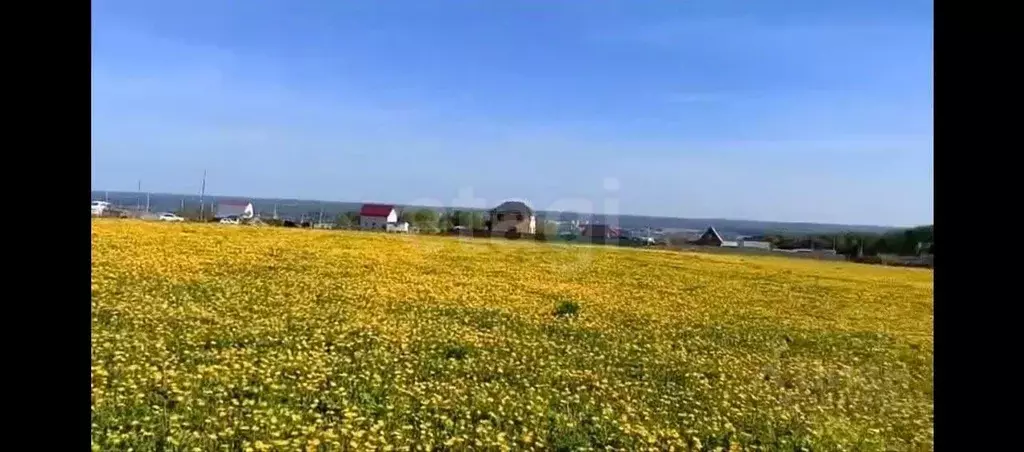 Участок в Калужская область, Жуковский муниципальный округ, д. ... - Фото 1