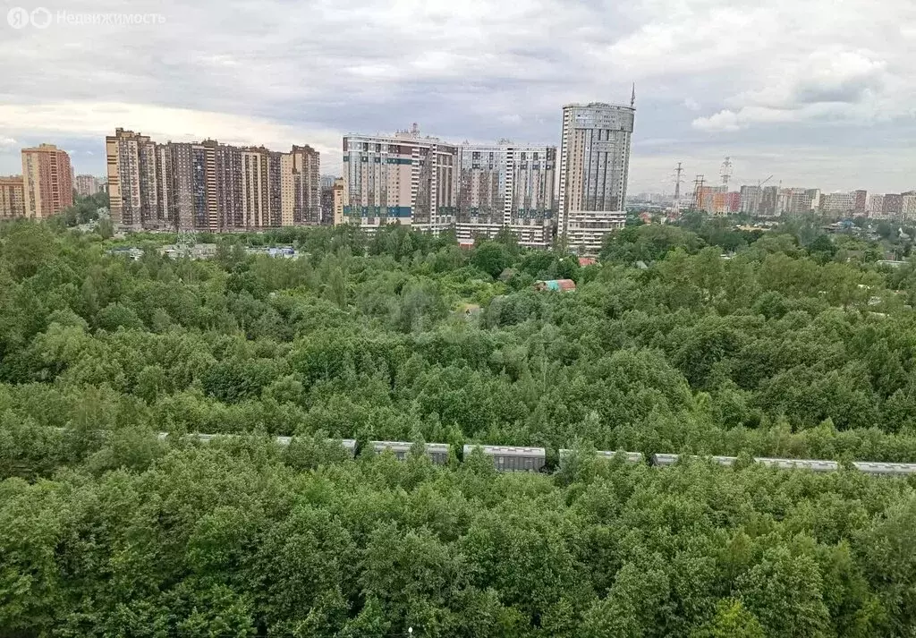 Квартира-студия: Санкт-Петербург, территория Усть-Славянка, Советский ... - Фото 1