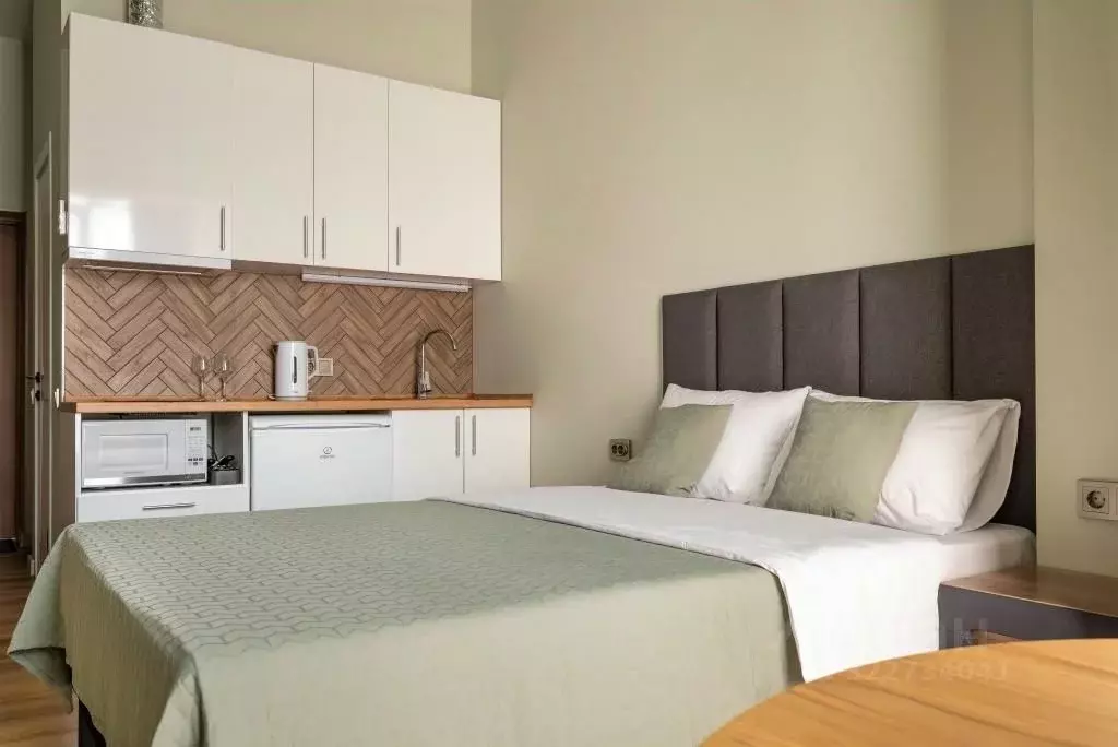 1-к кв. Краснодарский край, Сочи Центральный мкр, ул. Роз, 36 (22.0 м) - Фото 2