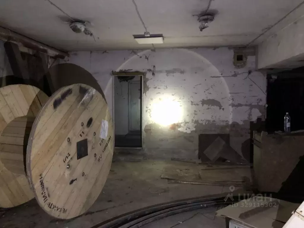 Помещение свободного назначения в Новосибирская область, Новосибирск ... - Фото 1