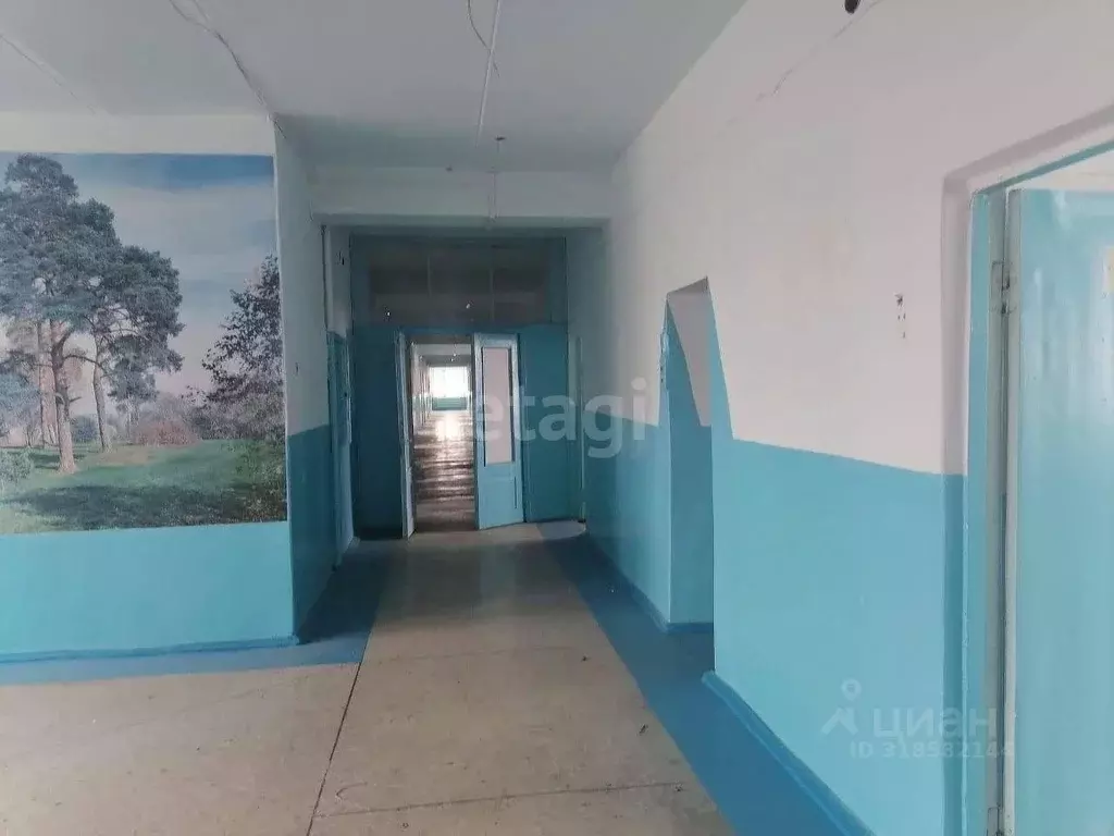 Помещение свободного назначения в Новосибирская область, Барабинск ... - Фото 1