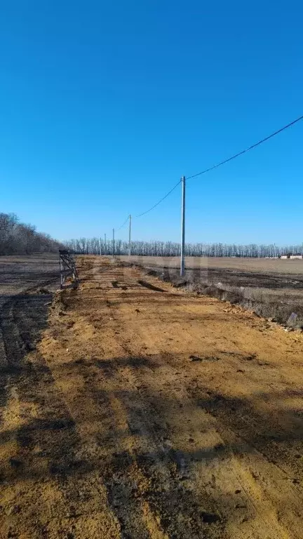 Участок в Ростовская область, Мясниковский район, Краснокрымское ... - Фото 0