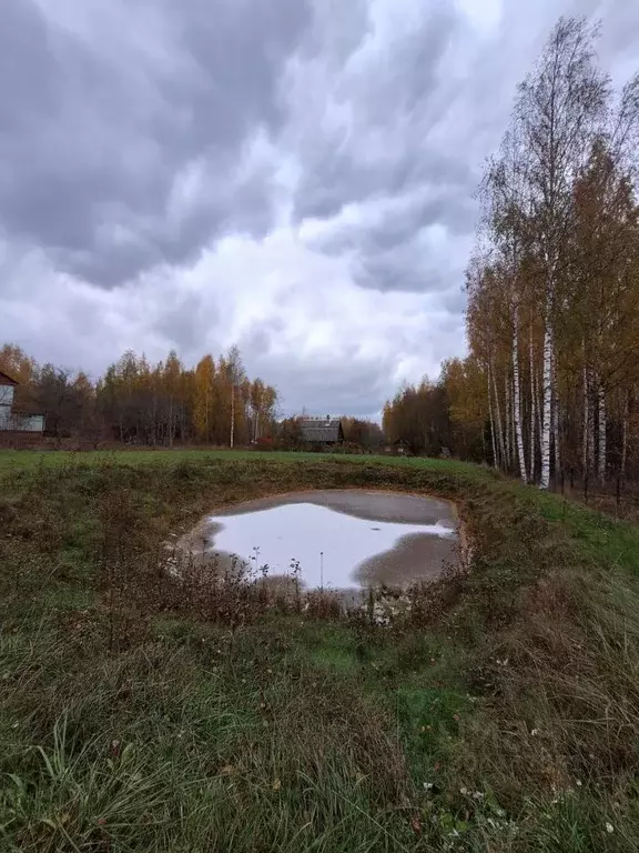 Участок в Ленинградская область, Кингисеппский район, Нежновское ... - Фото 0