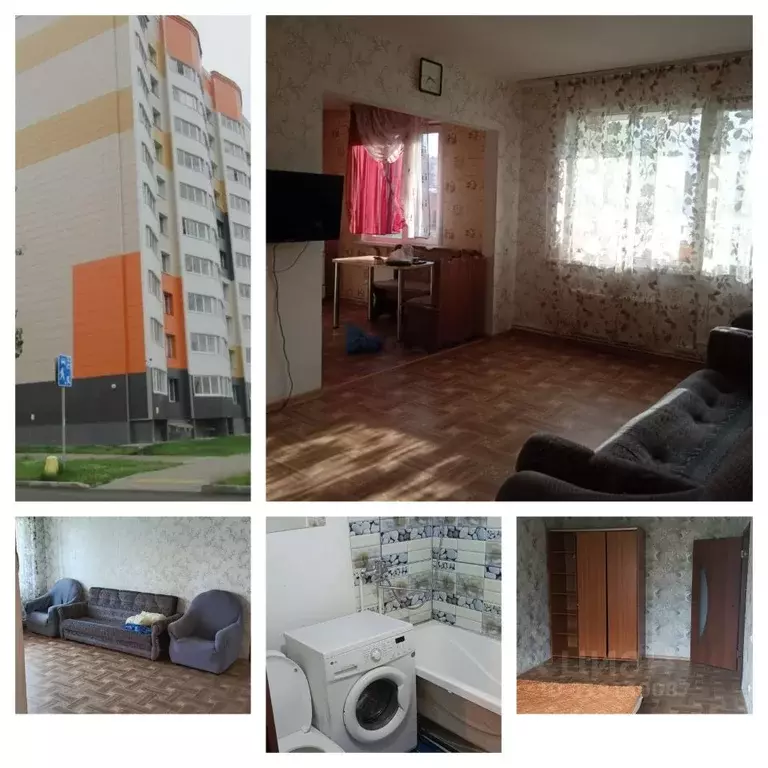 2-к кв. Алтайский край, Барнаул ул. Сергея Ускова, 31 (53.5 м) - Фото 0