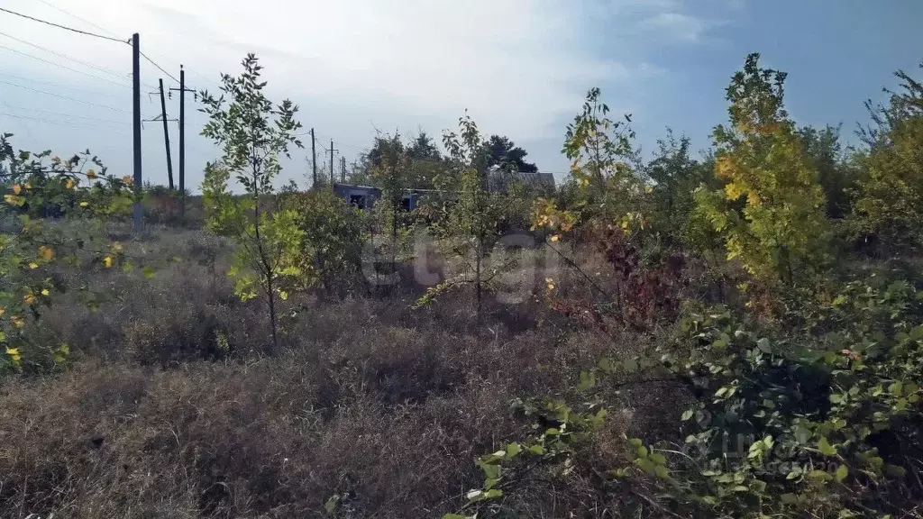 Участок в Ставропольский край, Ставрополь Прелесть садовое ... - Фото 1