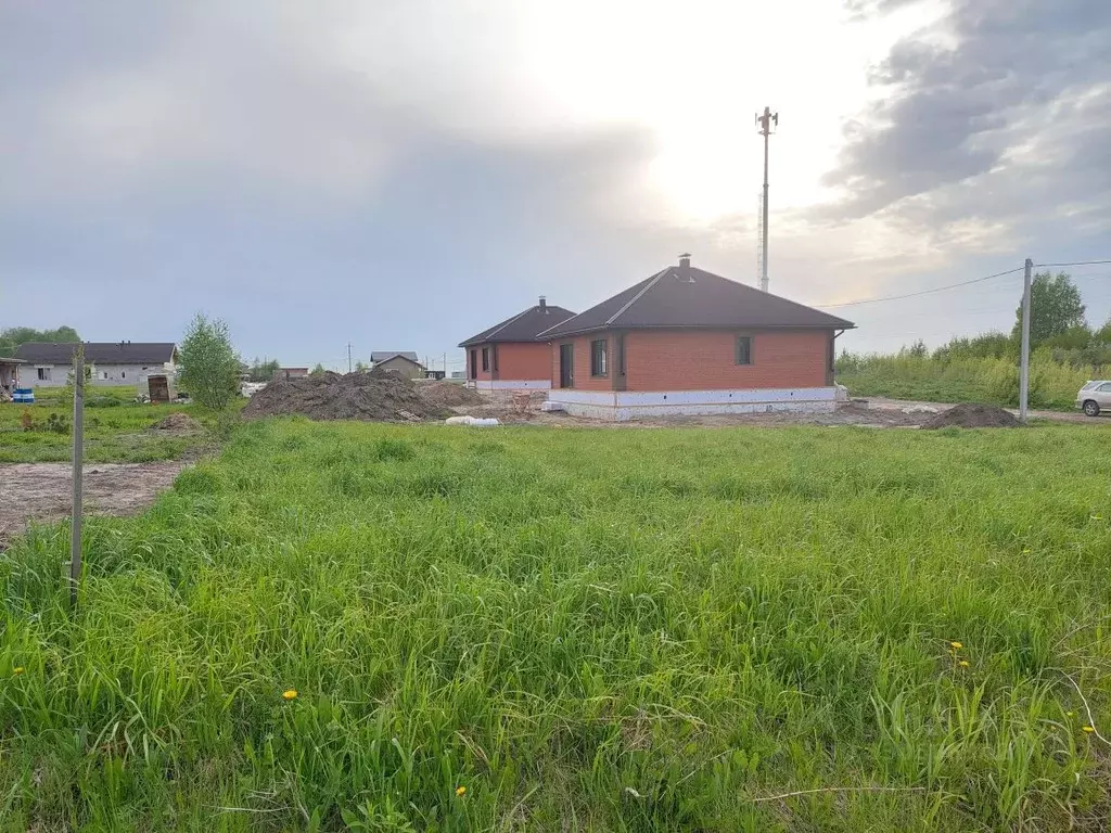 Участок в Новосибирская область, Новосибирский район, Березовский ... - Фото 1