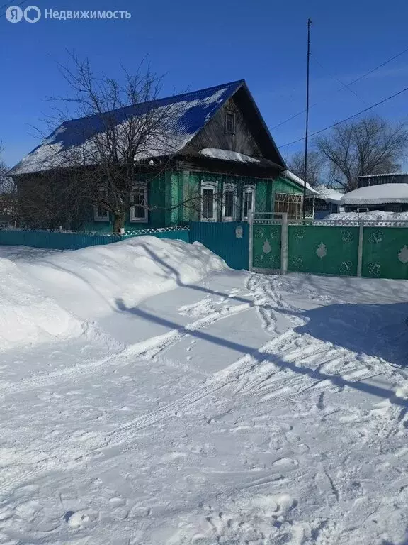 Дом в деревня Илишево, Советская улица, 33 (45.8 м) - Фото 1