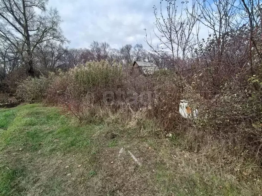 Участок в Кемеровская область, Новокузнецк Строитель-1КПС СТСН, 90 ... - Фото 1