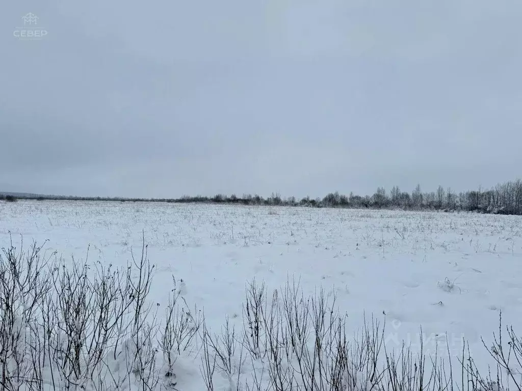 Участок в Новгородская область, Новгородский район, Трубичинское ... - Фото 0