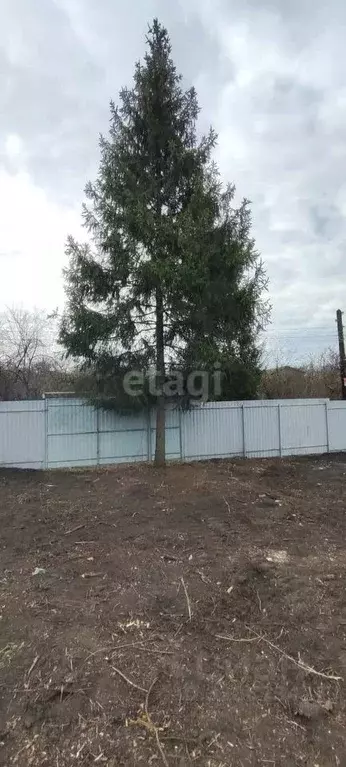 Участок в Воронежская область, Воронеж Железнодорожник-2 СНТ, ул. 27-я ... - Фото 1
