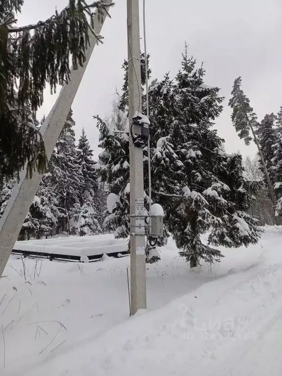 Участок в Московская область, Щелково городской округ, Борисовка кп  ... - Фото 0