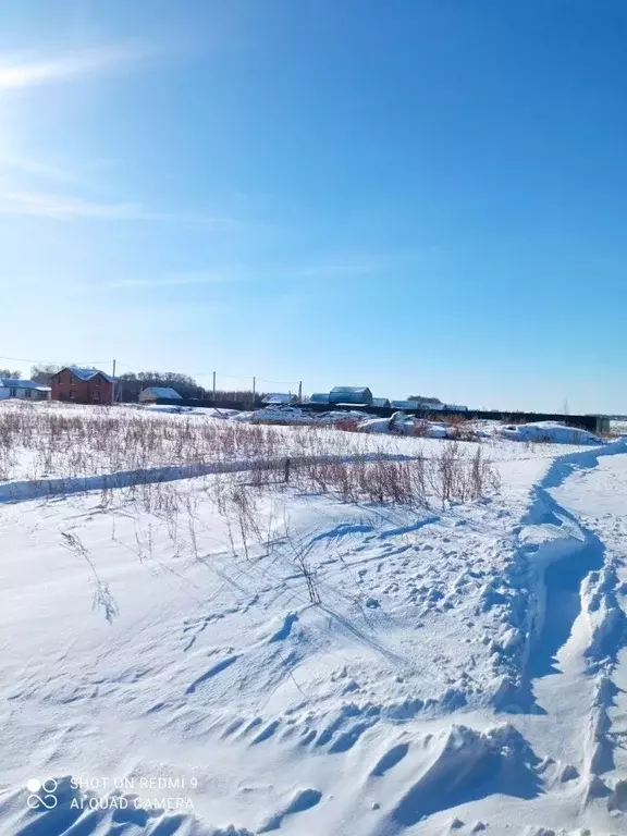 Участок в Омская область, Омский район муниципальный округ, Деревня ... - Фото 2