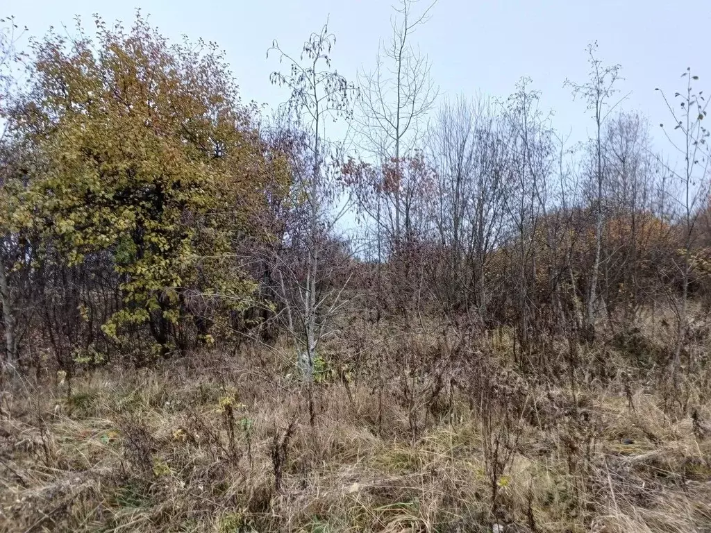 Участок в Московская область, Сергиево-Посадский городской округ, д. ... - Фото 1