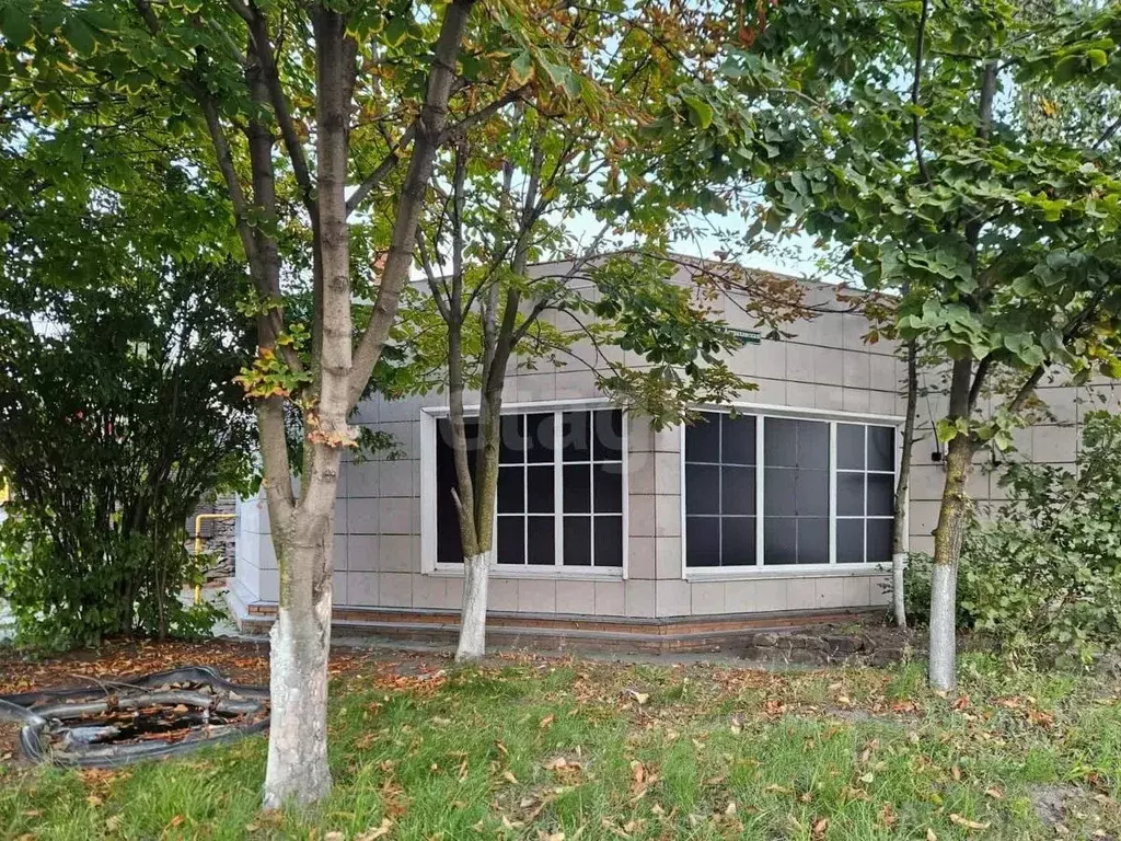 Торговая площадь в Тамбовская область, Тамбов Астраханская ул., 198Б ... - Фото 2