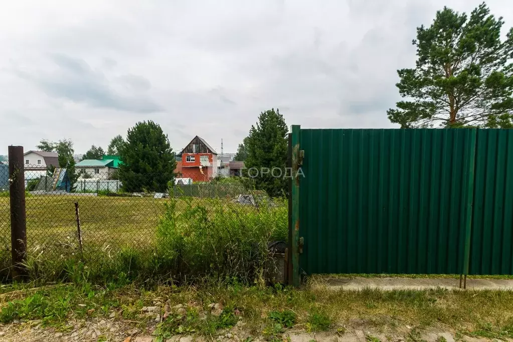Участок в Новосибирская область, Новосибирский район, Верх-Тулинский ... - Фото 1