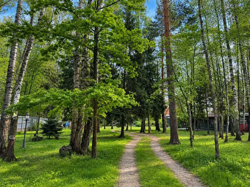 Участок в Московская область, Одинцовский городской округ, Горки-2 СНТ ... - Фото 2