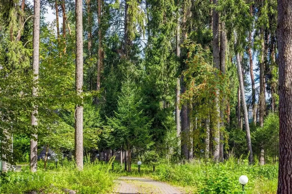 Дом в Московская область, Одинцовский городской округ, пос. дома ... - Фото 2