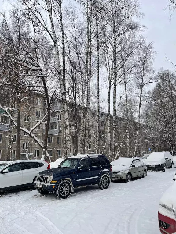 1-комнатная квартира: Пушкино, микрорайон Серебрянка, 4 (32.7 м) - Фото 1