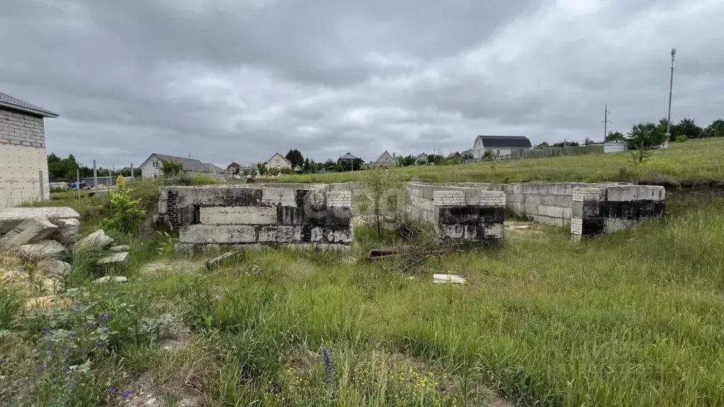 Участок в Воронежская область, Семилукский район, с. Девица ул. ... - Фото 0