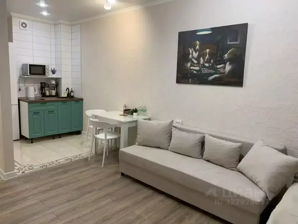 1-к кв. Татарстан, Казань Проточная ул., 6 (30.0 м) - Фото 2